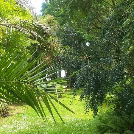 Un Jardin En Pente Douce Hébergement de vacances Locquenole