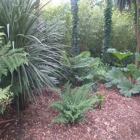 Hébergement de vacances Un Jardin En Pente Douce Locquenole