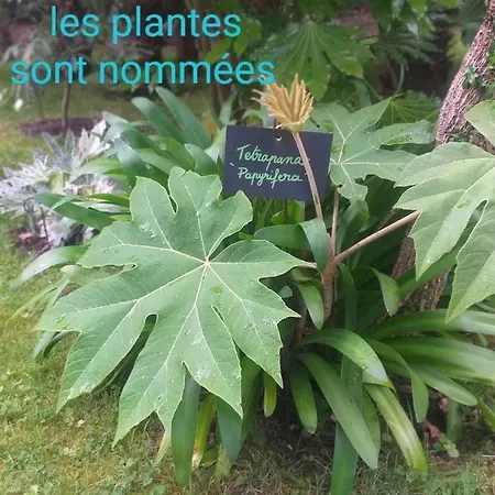 Un Jardin En Pente Douce * Locquenole