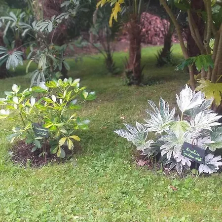 Hébergement de vacances Un Jardin En Pente Douce Locquenole